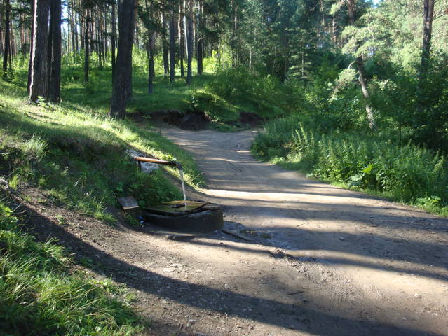 У РОДНИКА