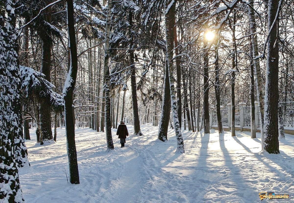 Зимнее солнце