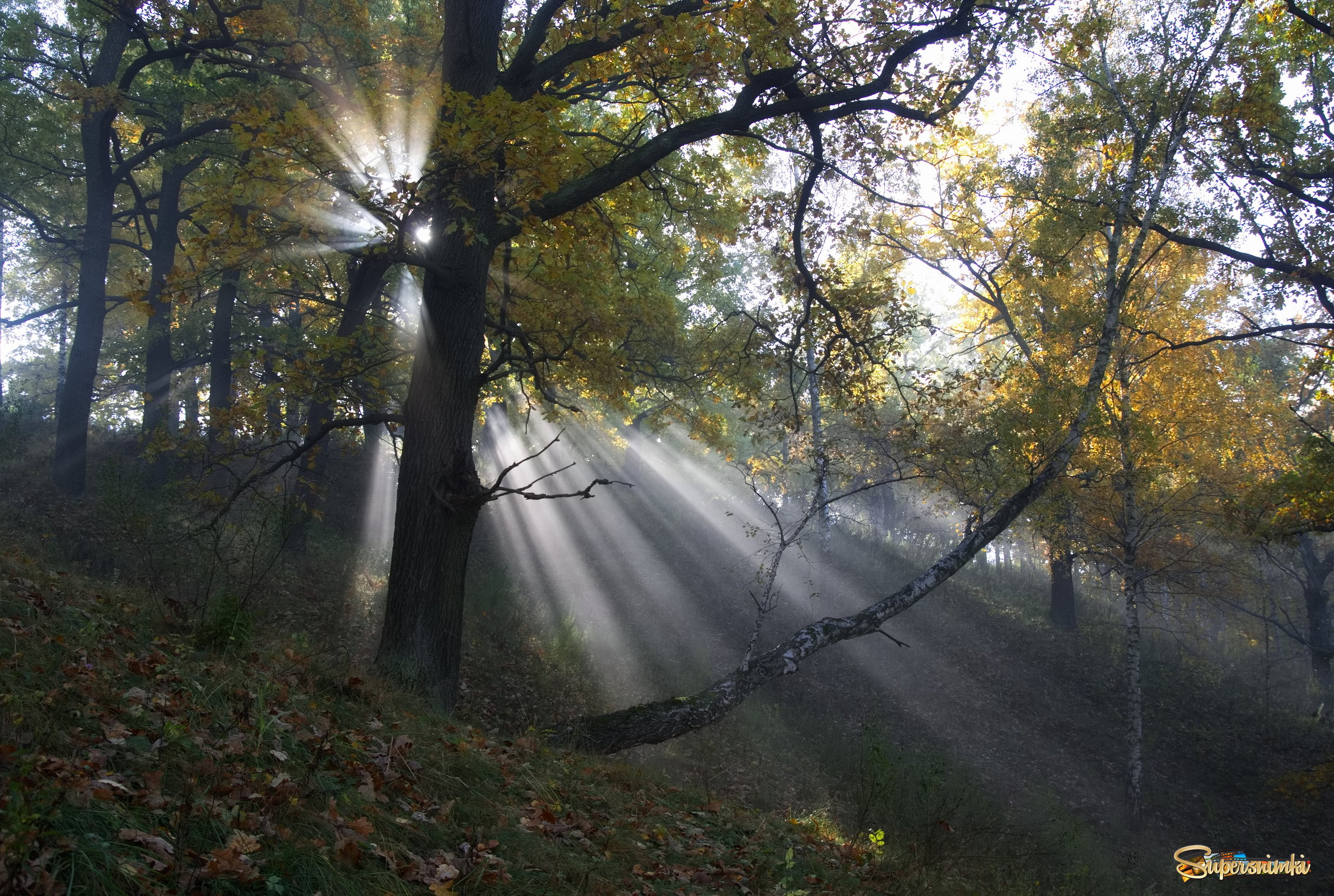 Утренний пейзаж