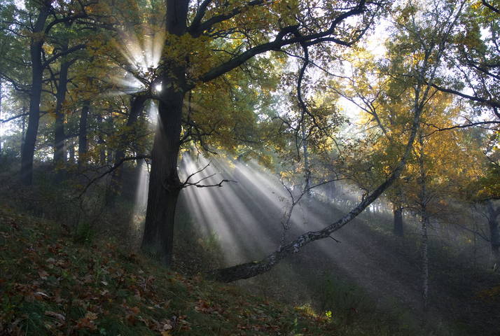 Утренний пейзаж