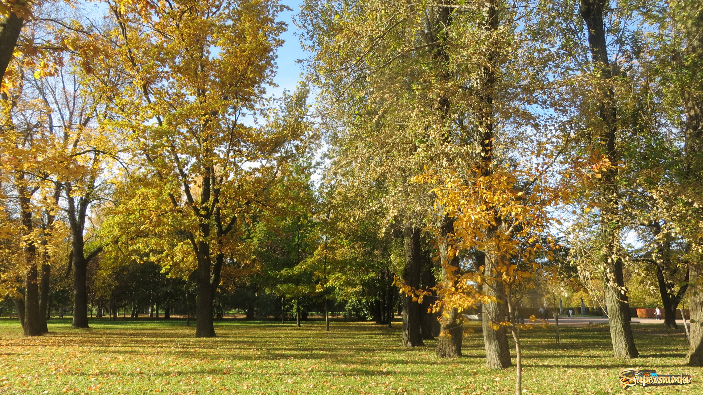 Золотая осень