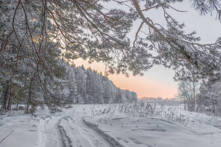 Морозное утро