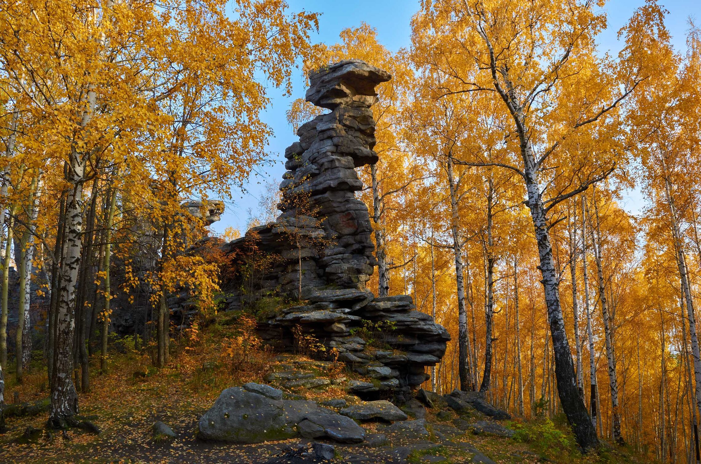 Осенний сон.