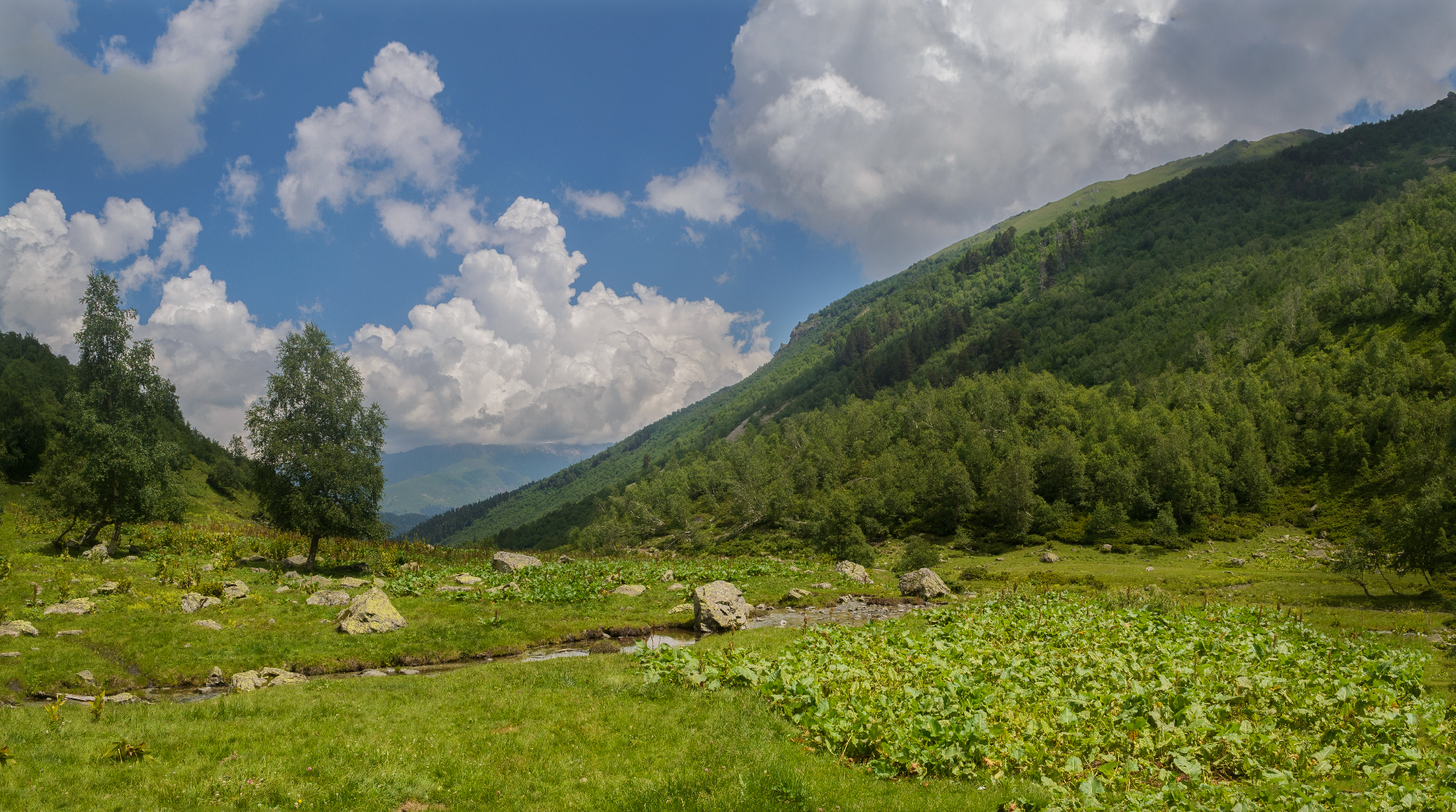 Долина реки.