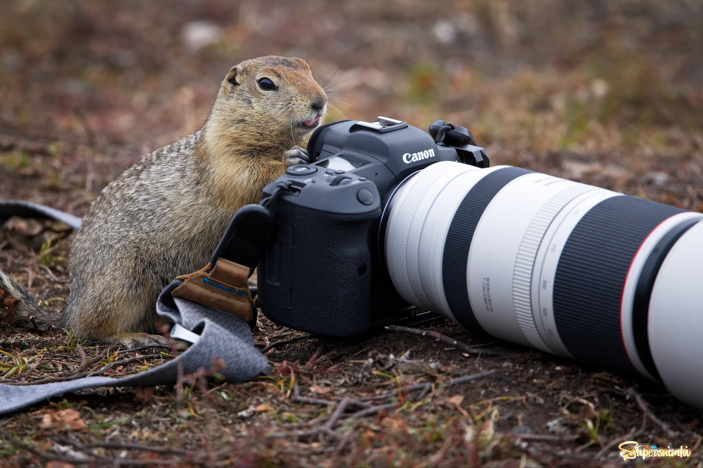 ФотоЛюбитель