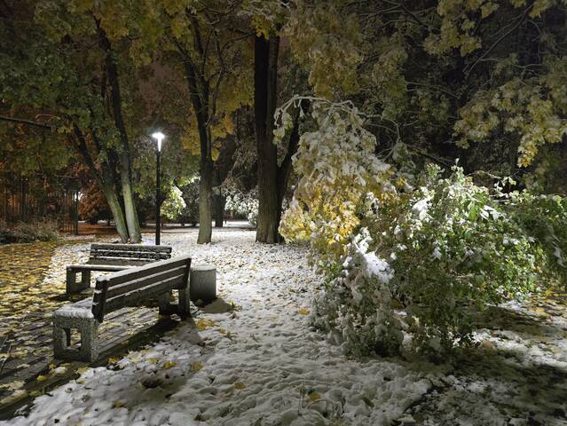 Первый снег