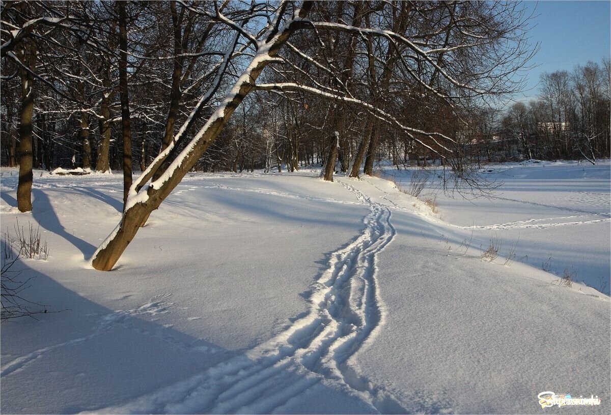 Первая лыжня