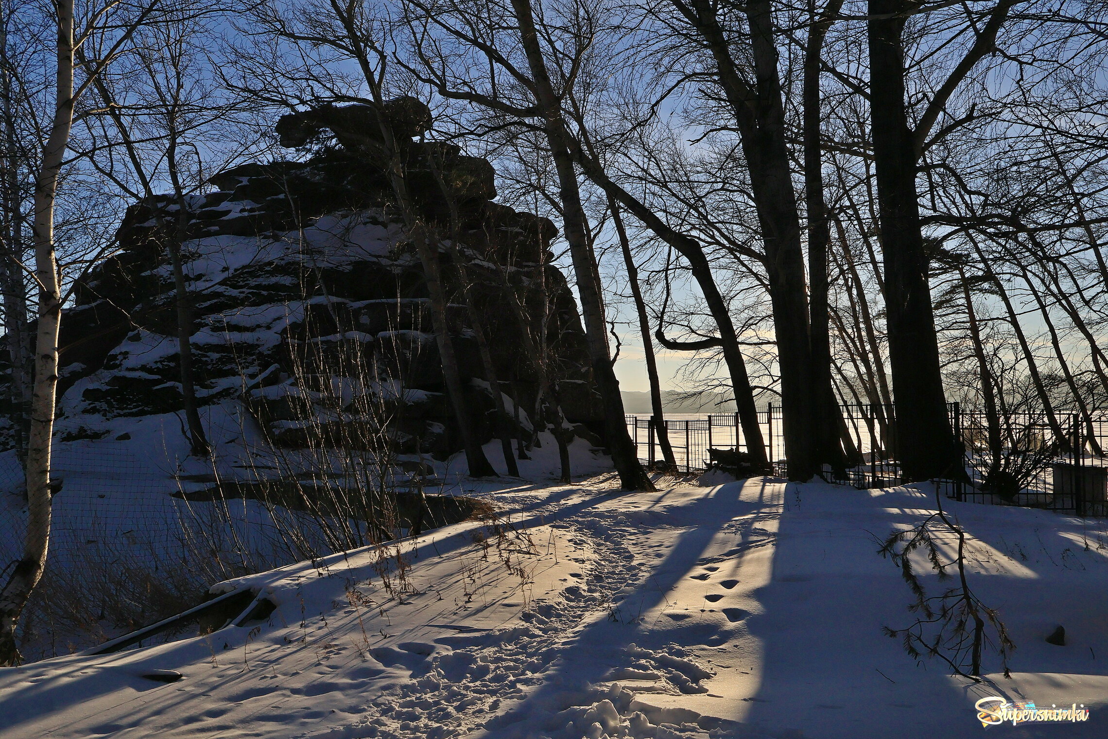 Ск."Корова"