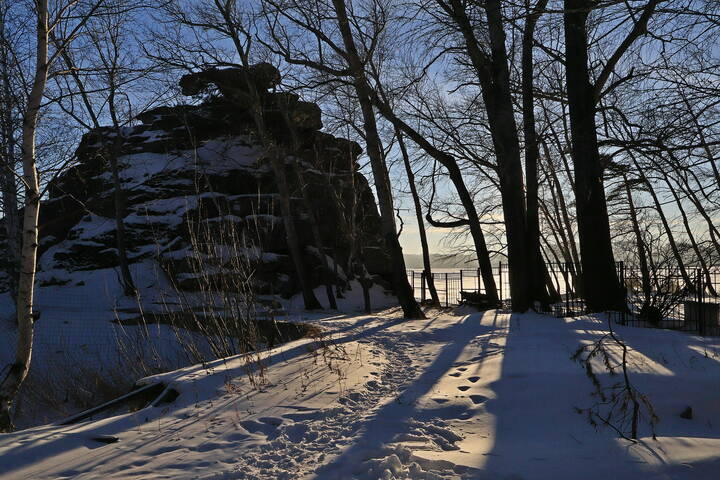 Ск."Корова"