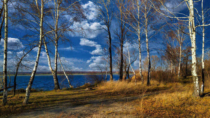 Предзимье.