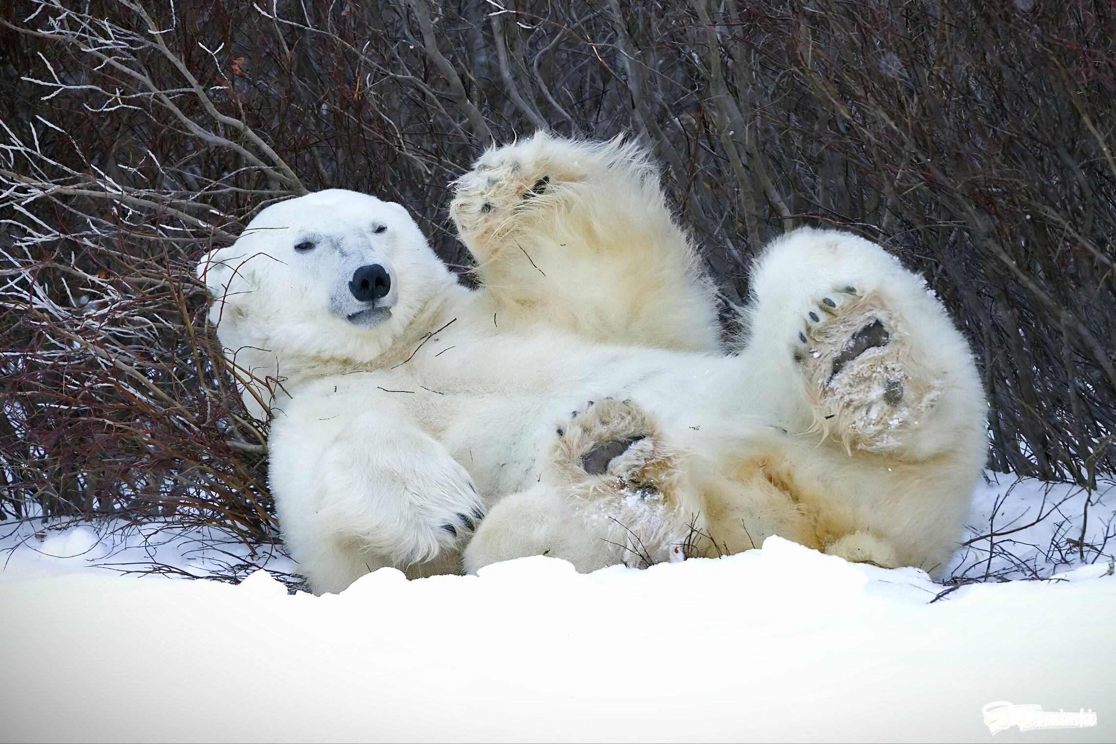 Привет фотографам!