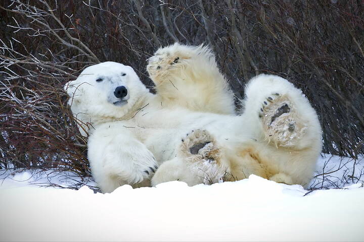 Привет фотографам!