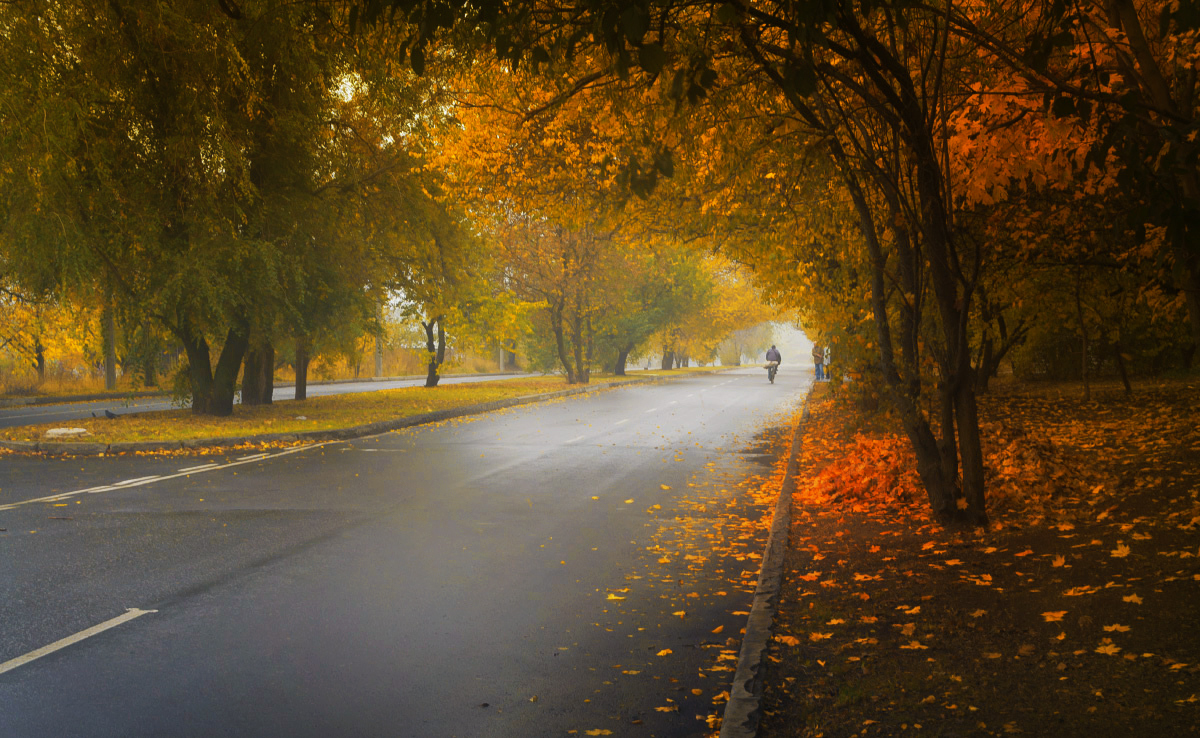 Дорога в осень.