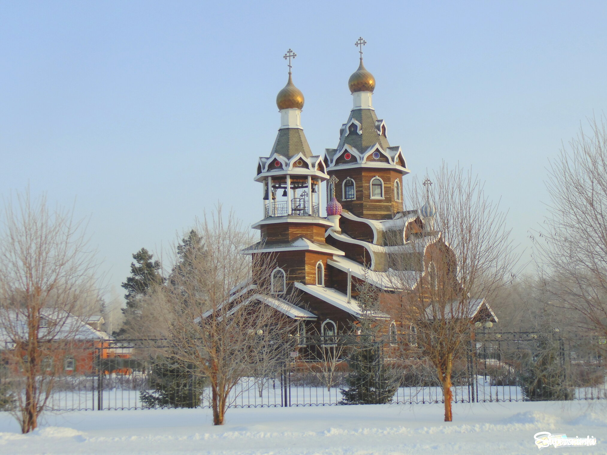 В январский морозный день .