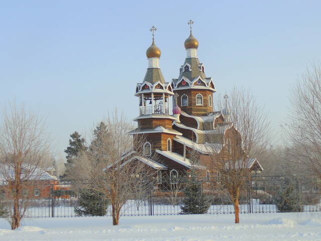 В январский морозный день .