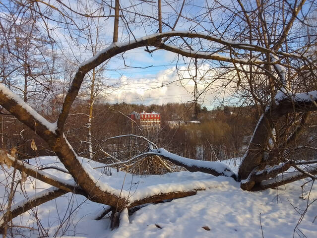 Зимний солнечный день