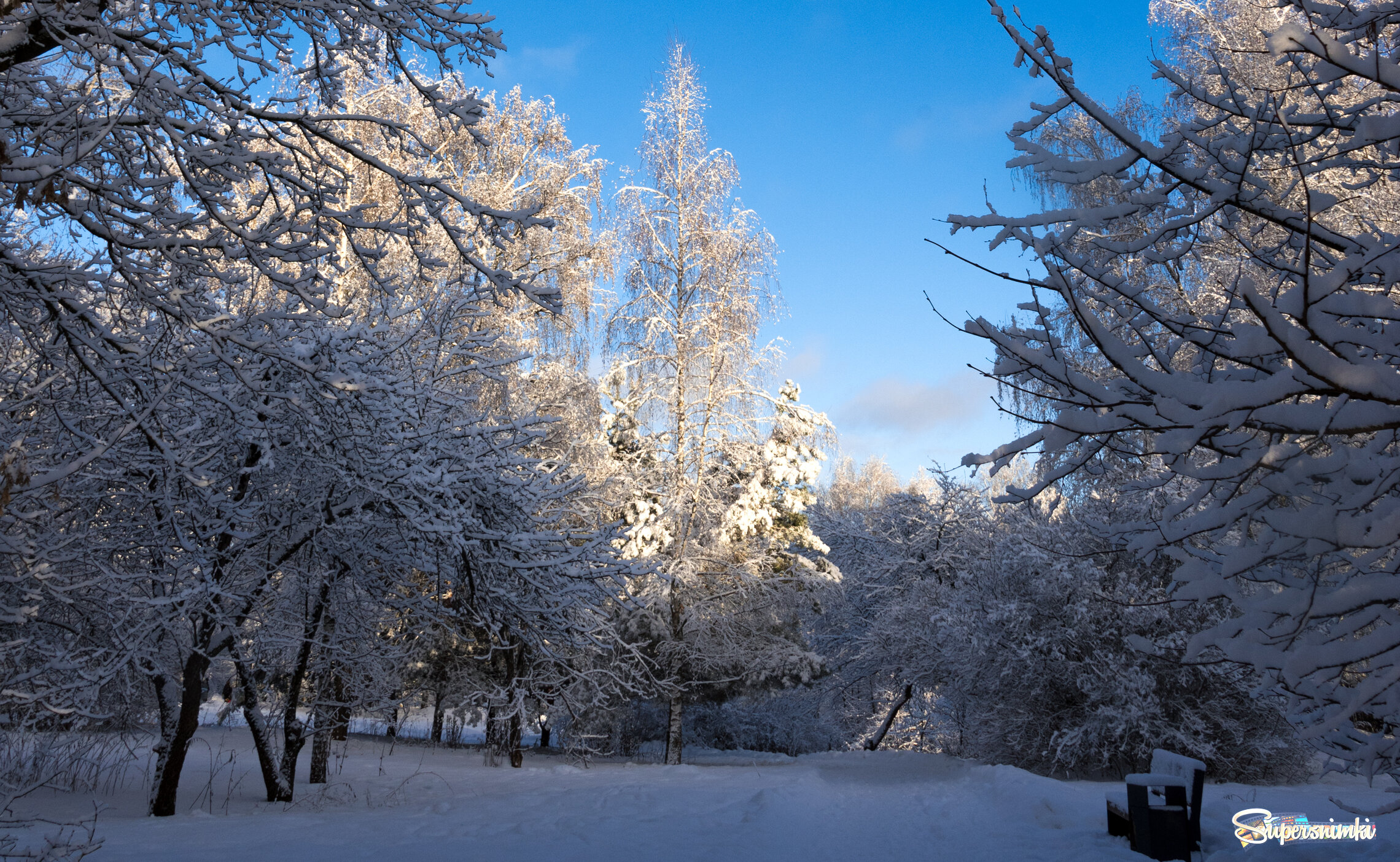 31 декабря.