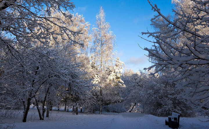 31 декабря.