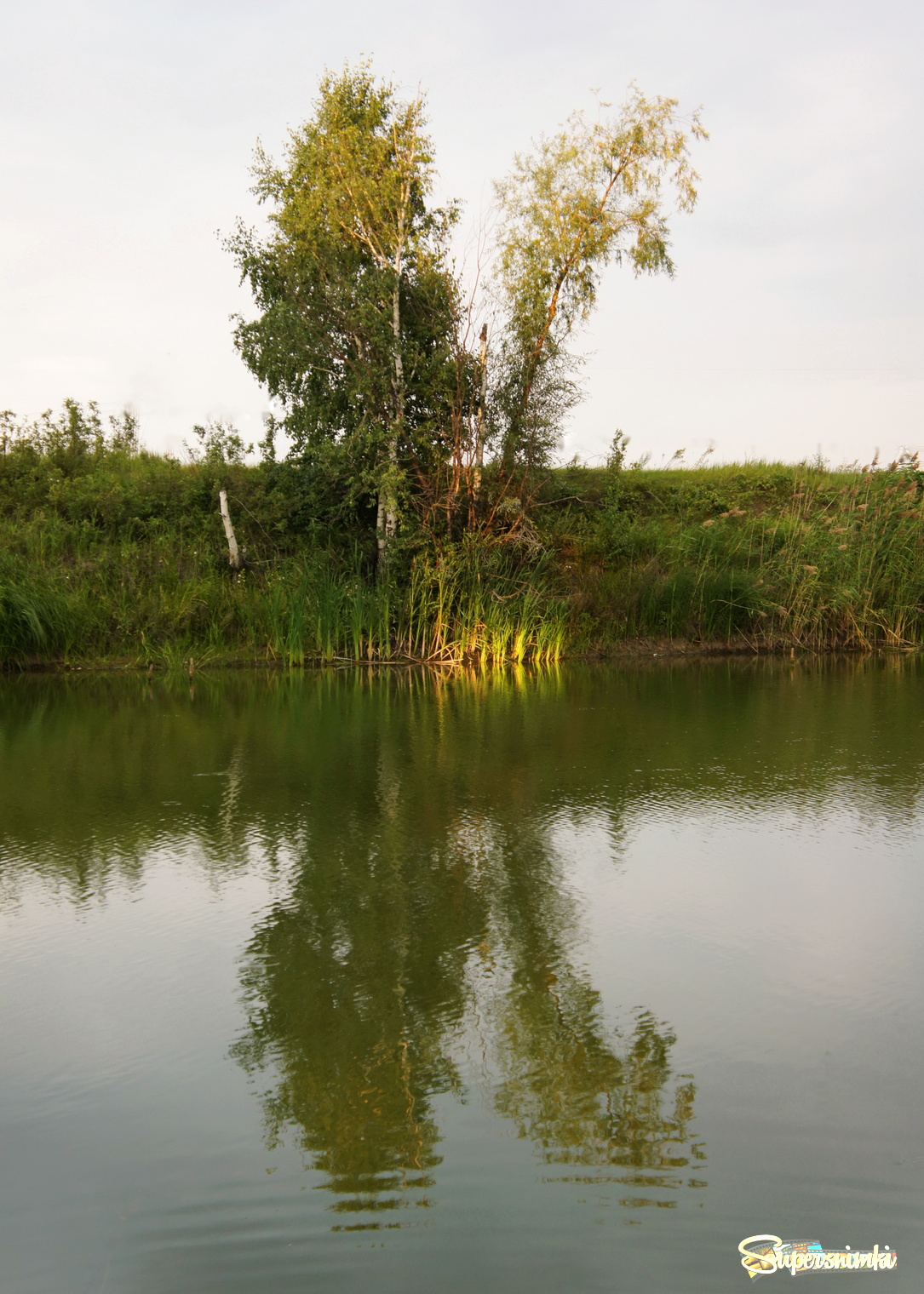 Луч света.