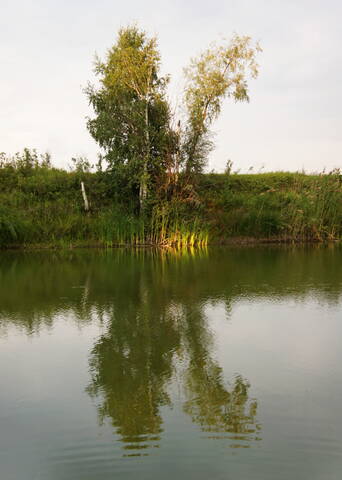 Луч света.