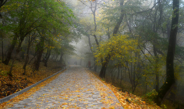 Терренкуром осенним.....