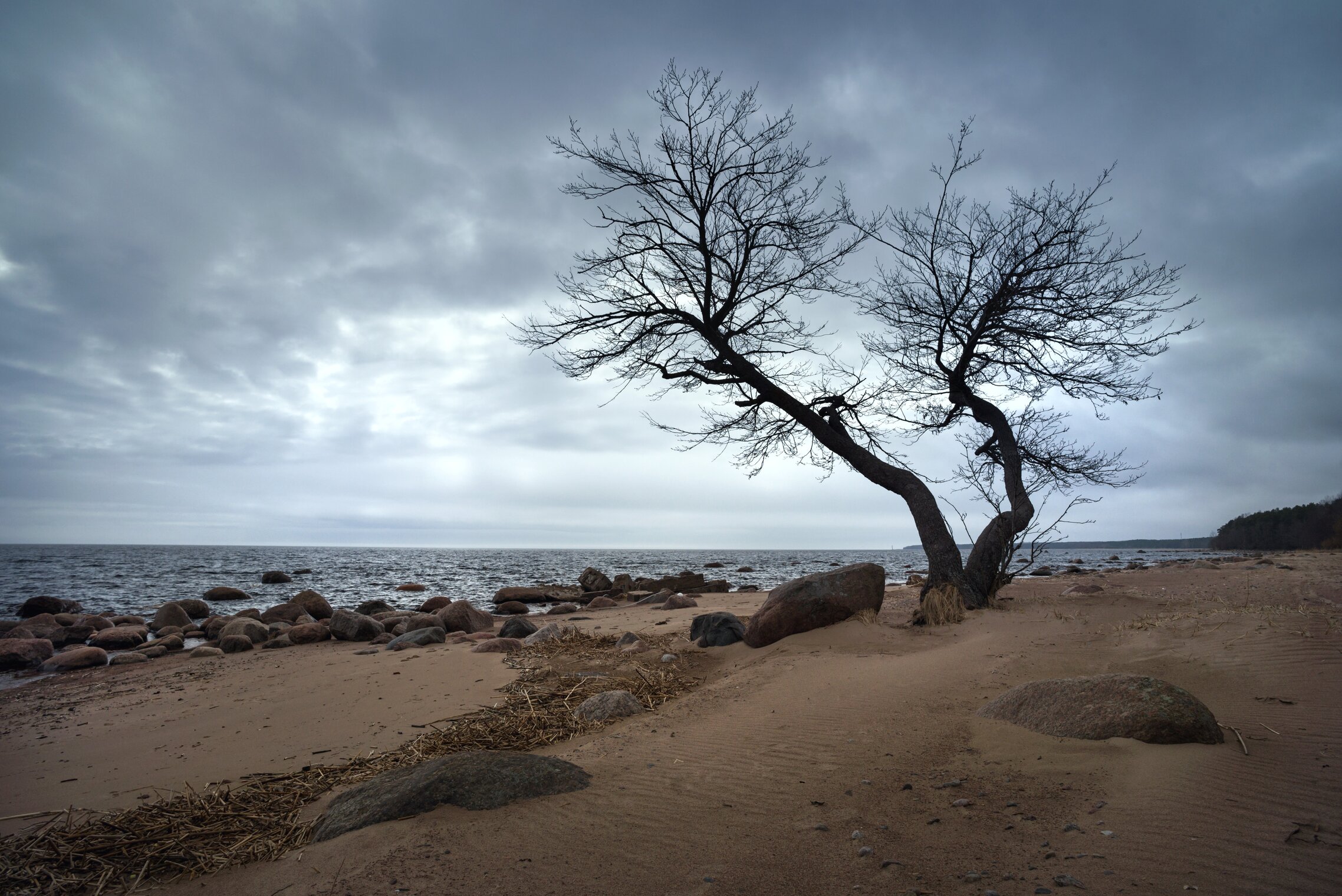 В конеце сезона