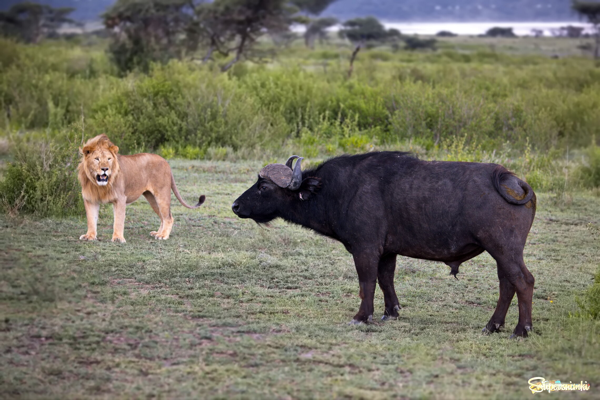 ПротивоСтояние