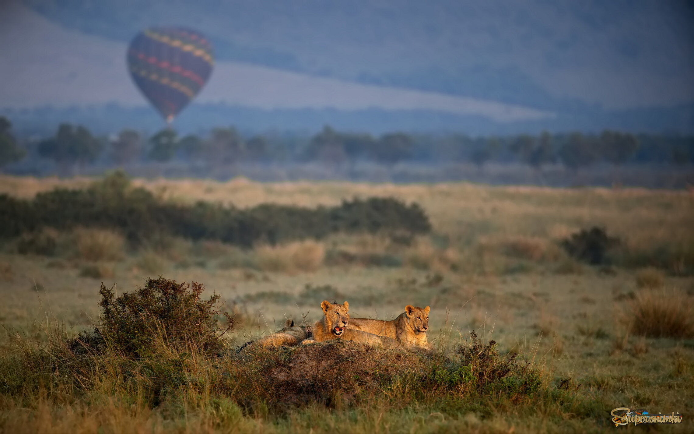 Образцовый африканский пейзаж