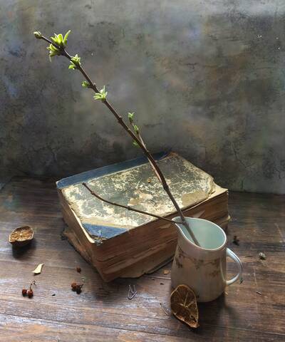 С веткой и книгой