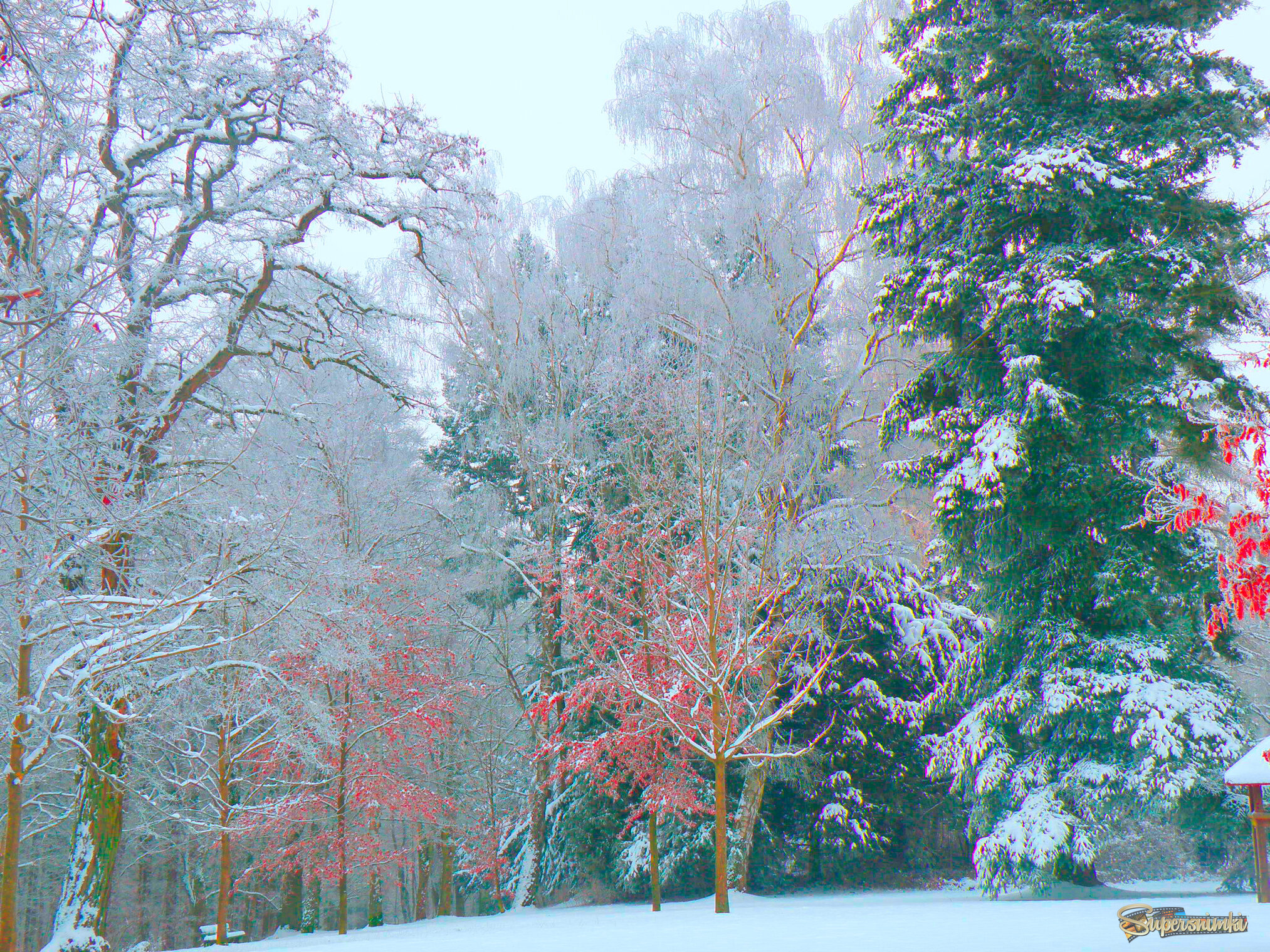 678bf57bad973656bd13215f