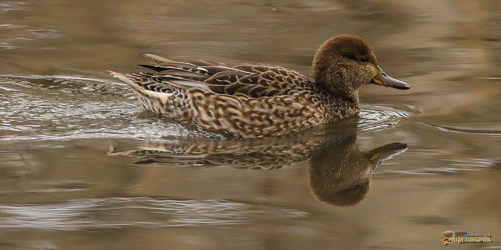 Деловая дама