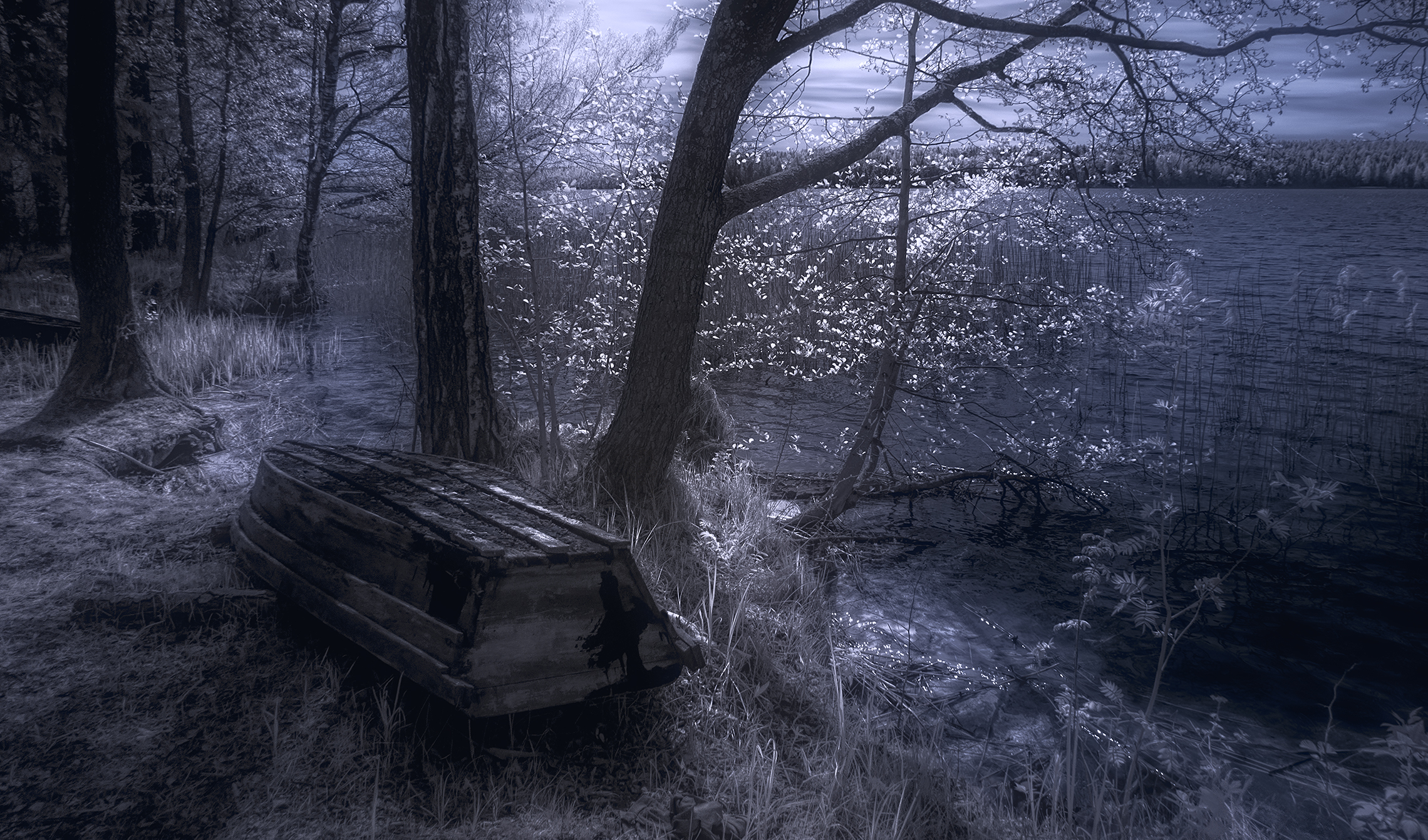 Берег весенних лодок