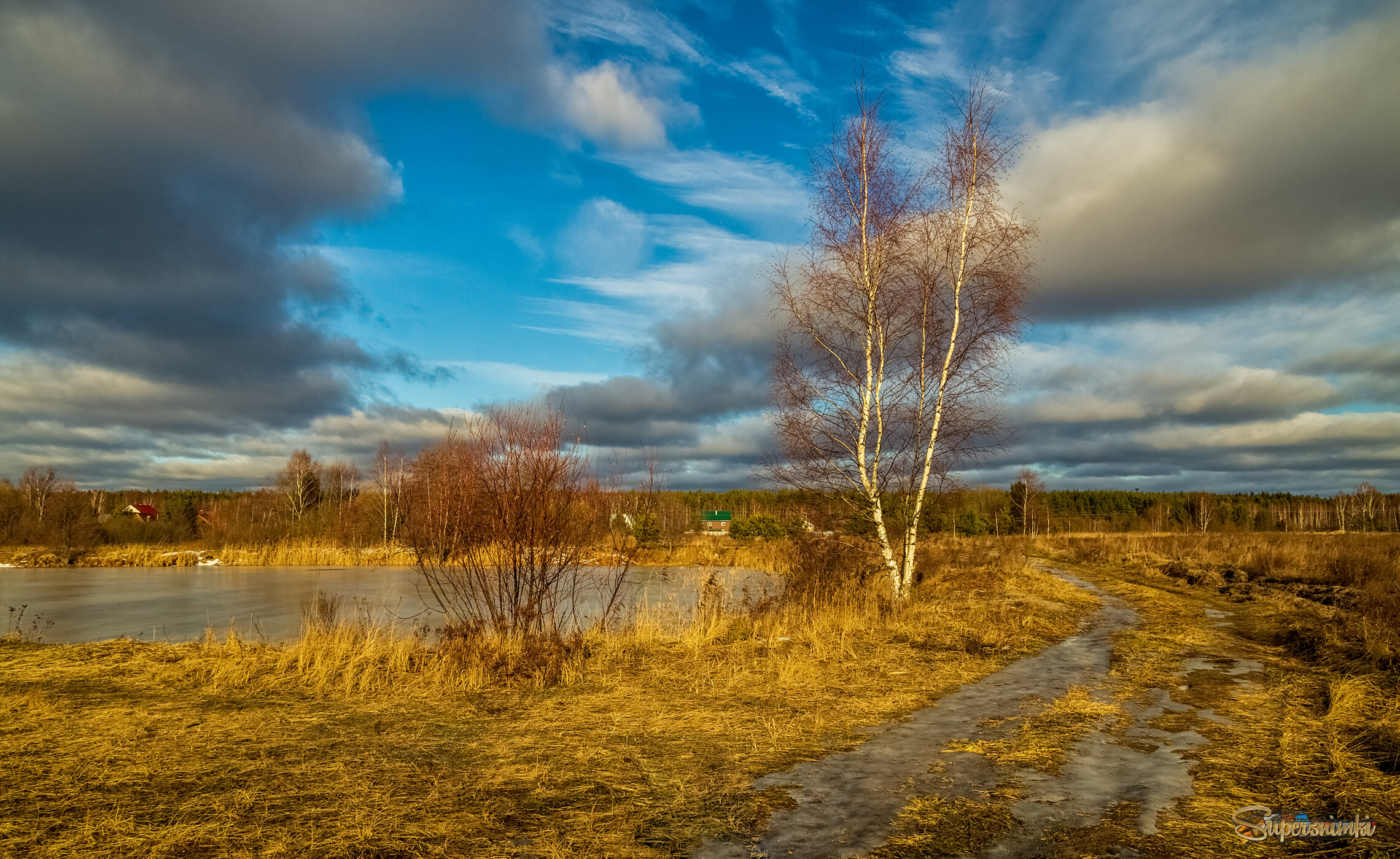 Вот такая зима в Подмосковье 2025 