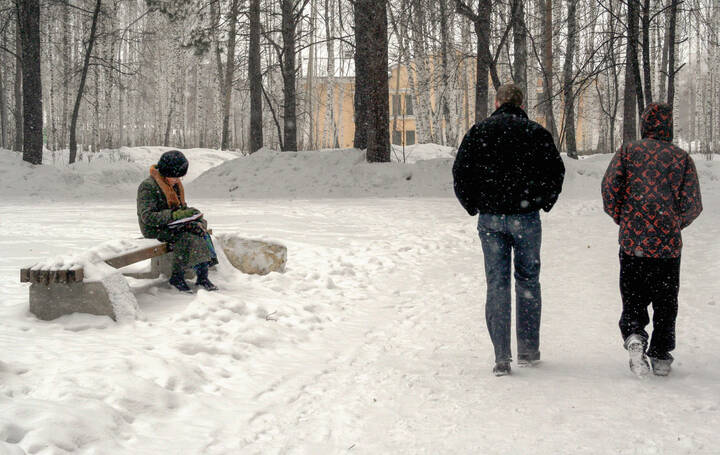 В зимнем парке