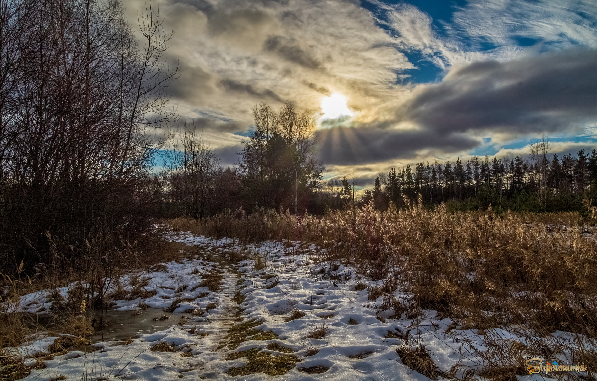 Вот такая зима в Подмосковье 2025  2 