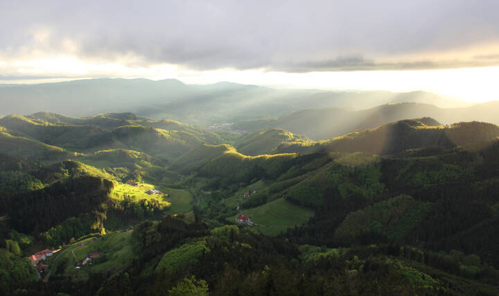Лучи.