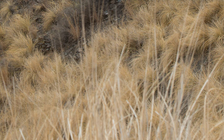 # 7