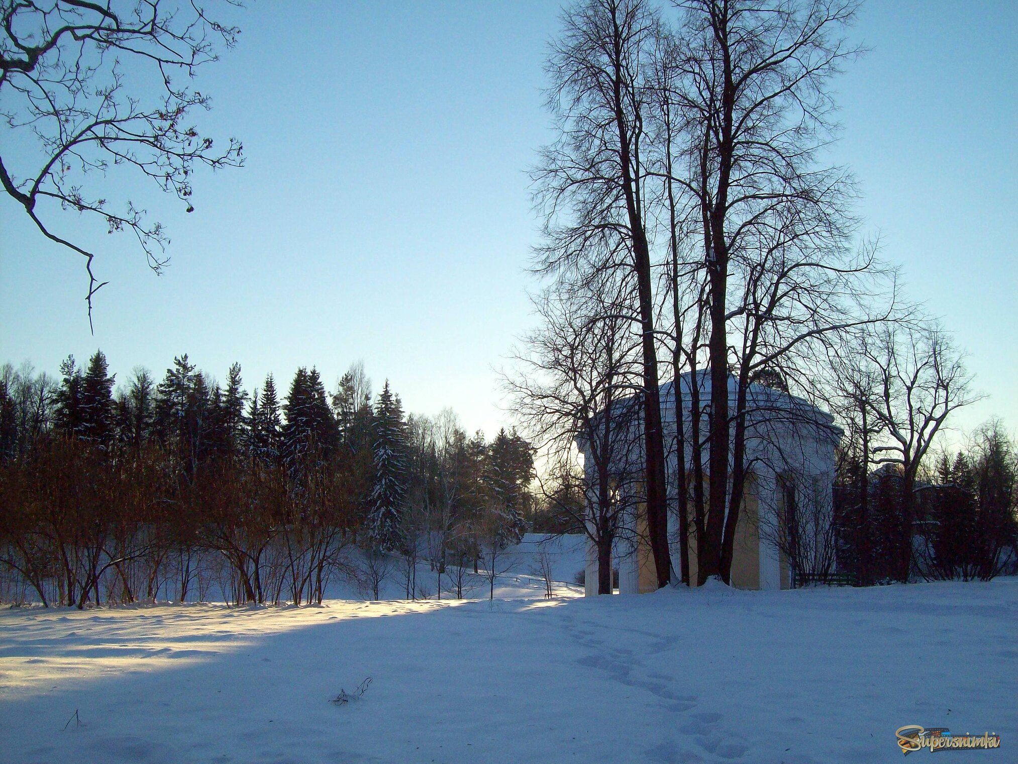 Зима в Павловском парке