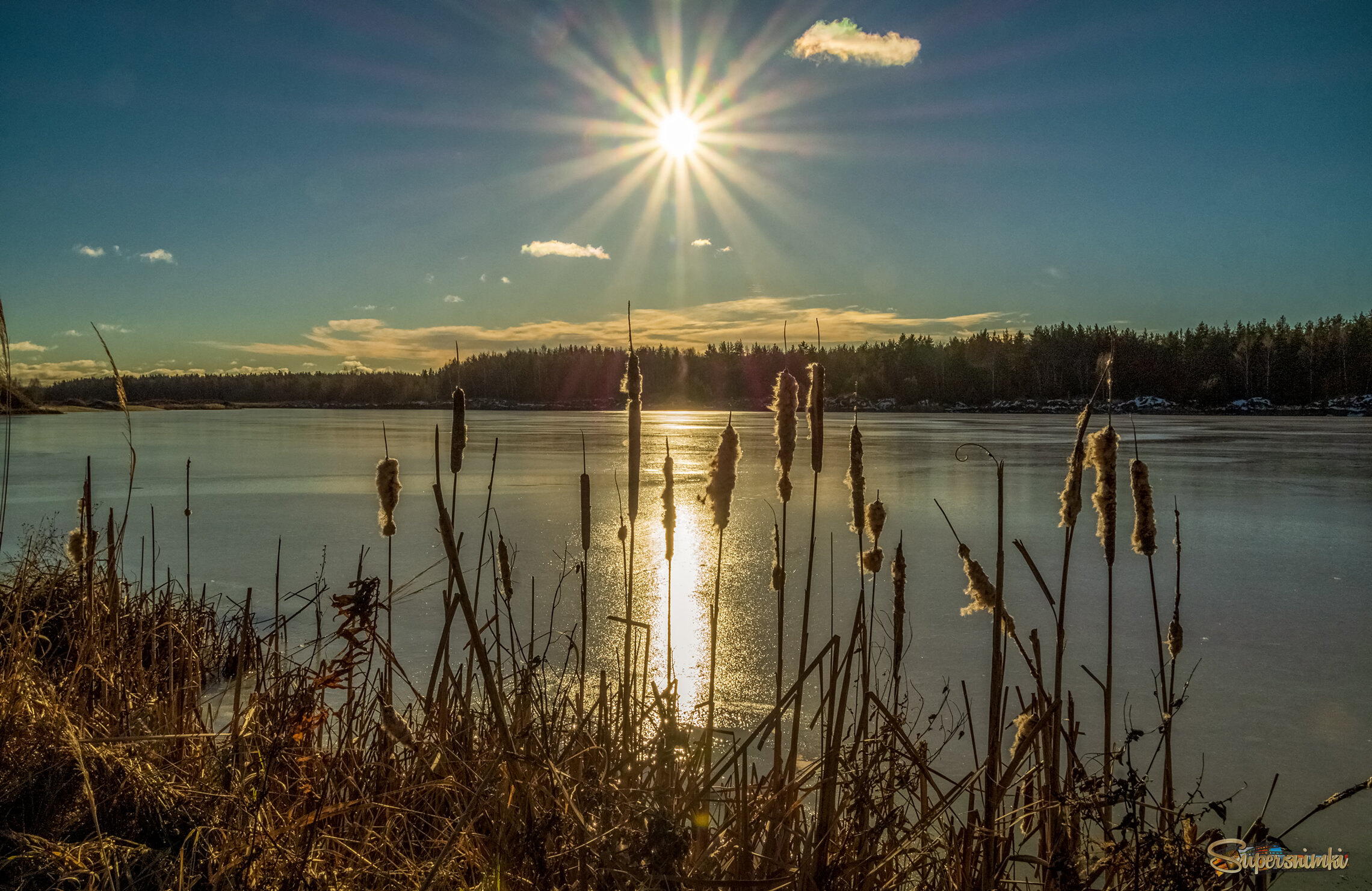 Вот такая зима в Подмосковье 2025  5 