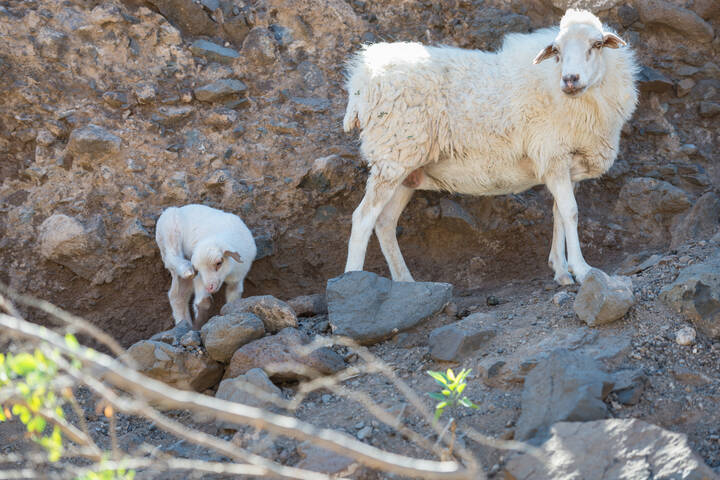 # 4