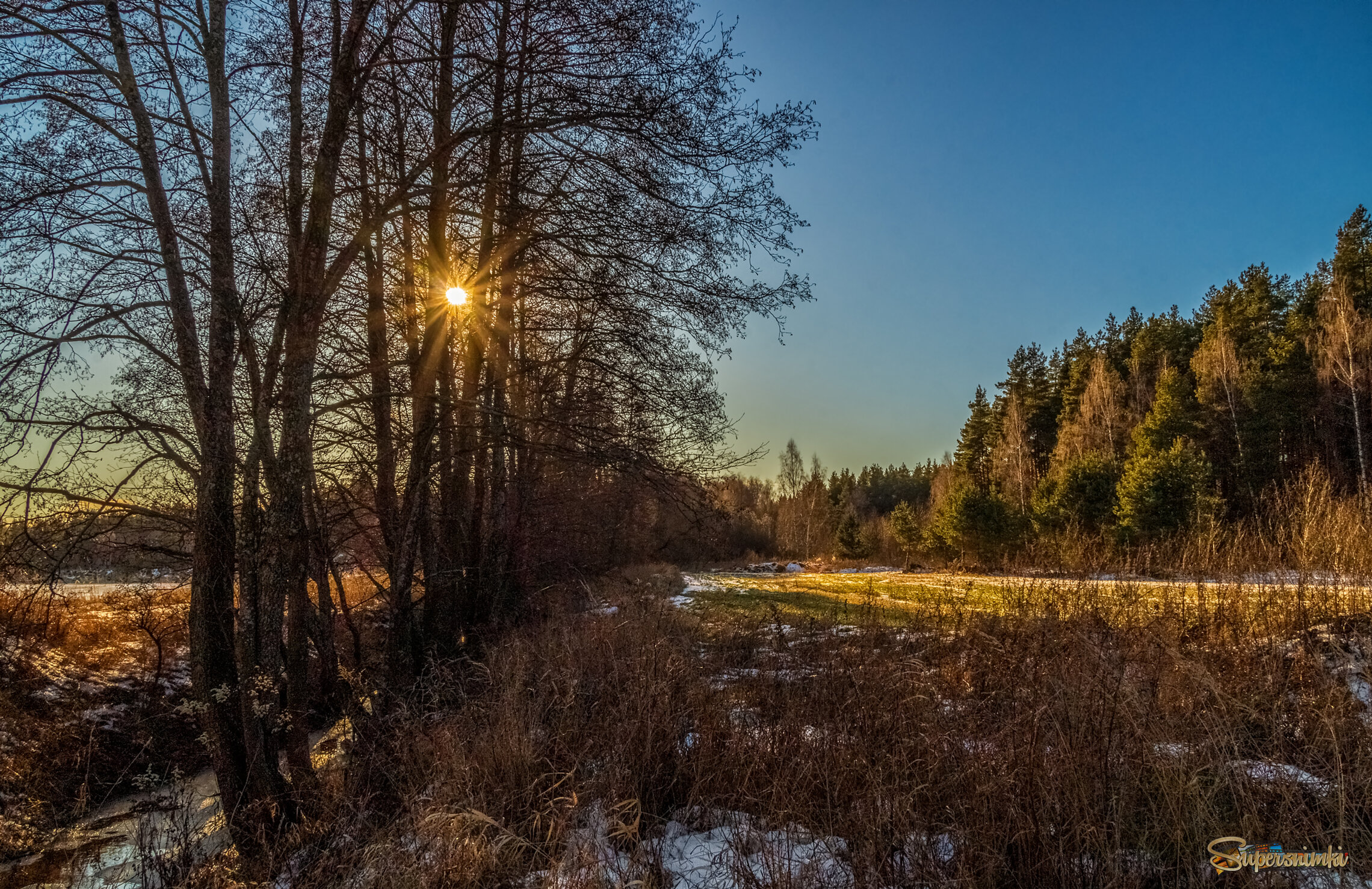 Вот такая зима в Подмосковье 2025 6 