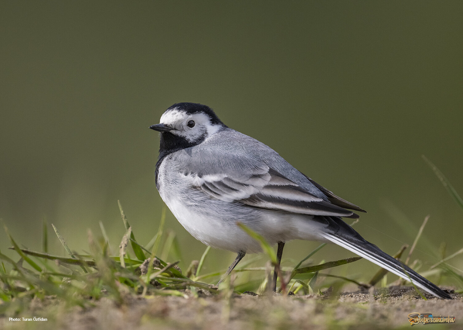 67925b0115b24867a213215b