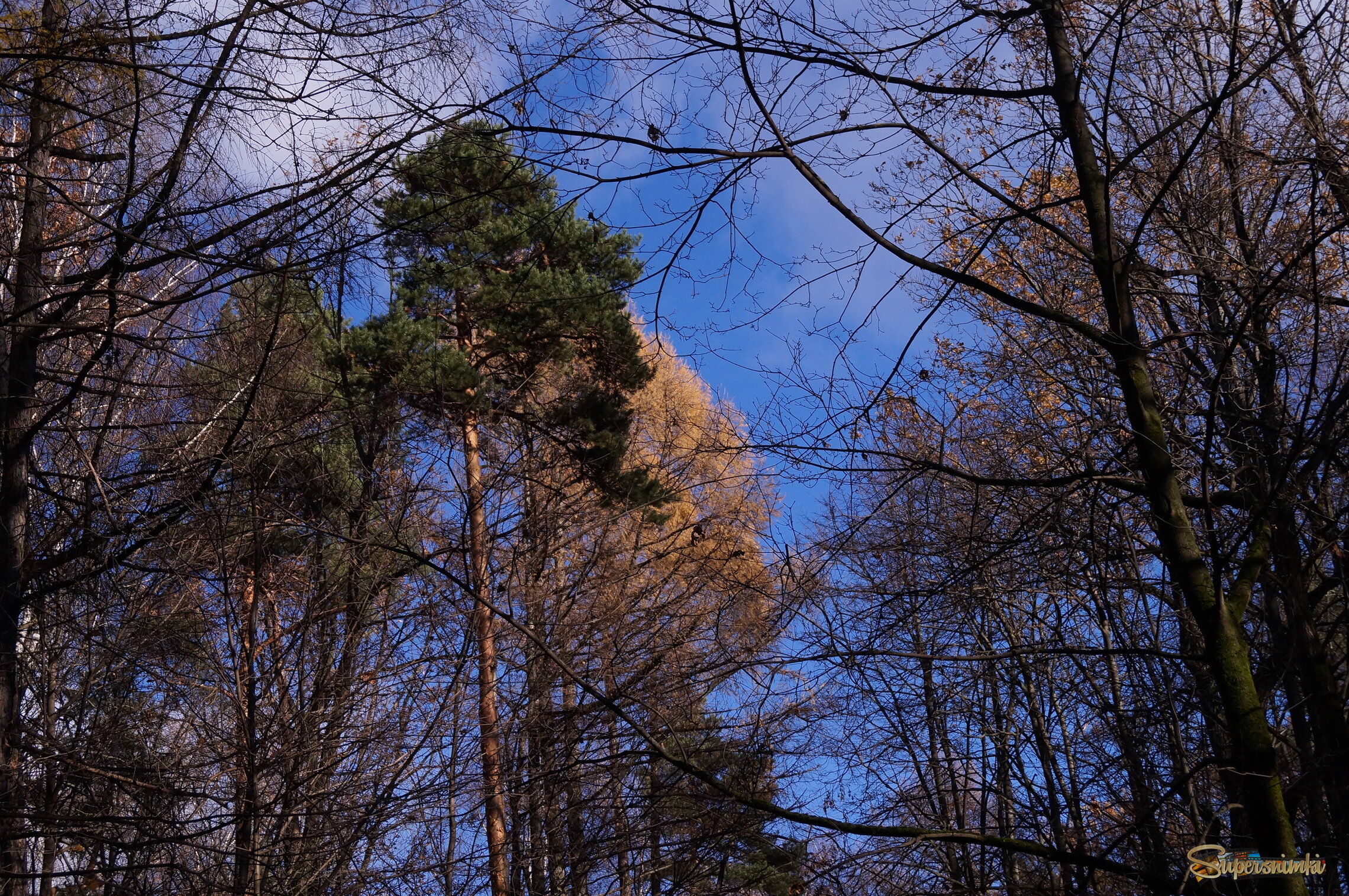 679266e788e2f09e82132164