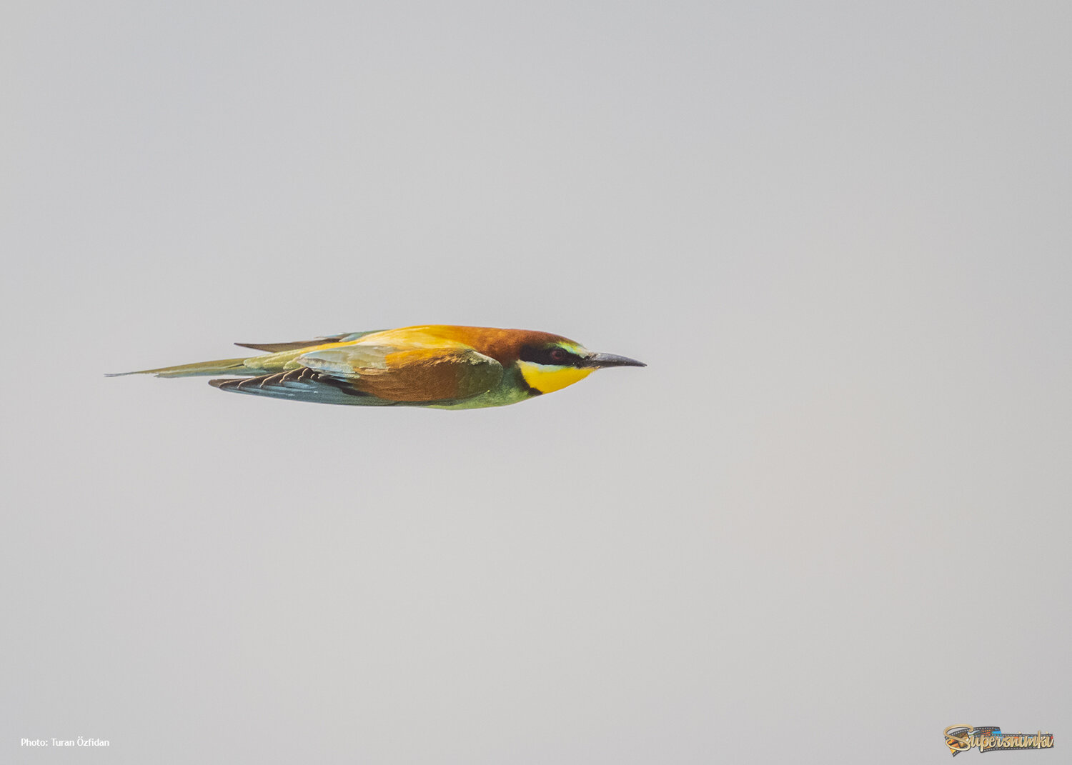 67938afb8d641f3d9713215f