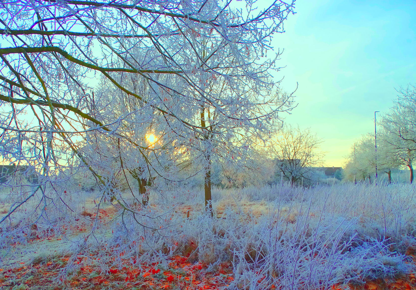 сНежный рассвет.