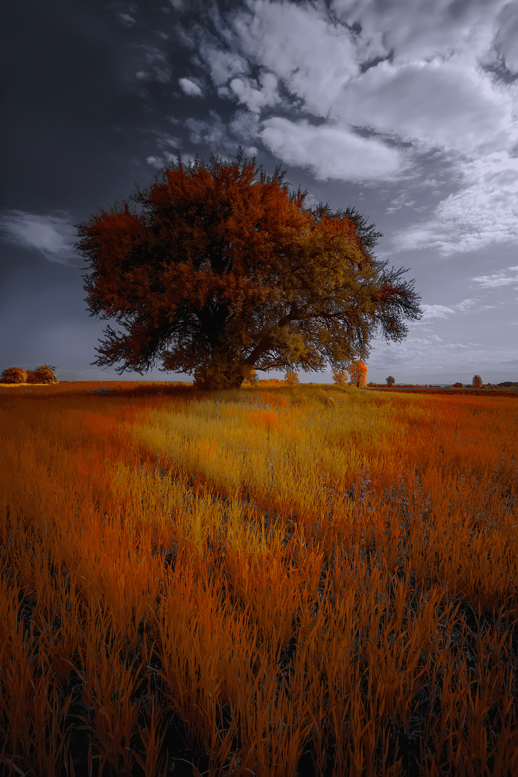 Майским днем