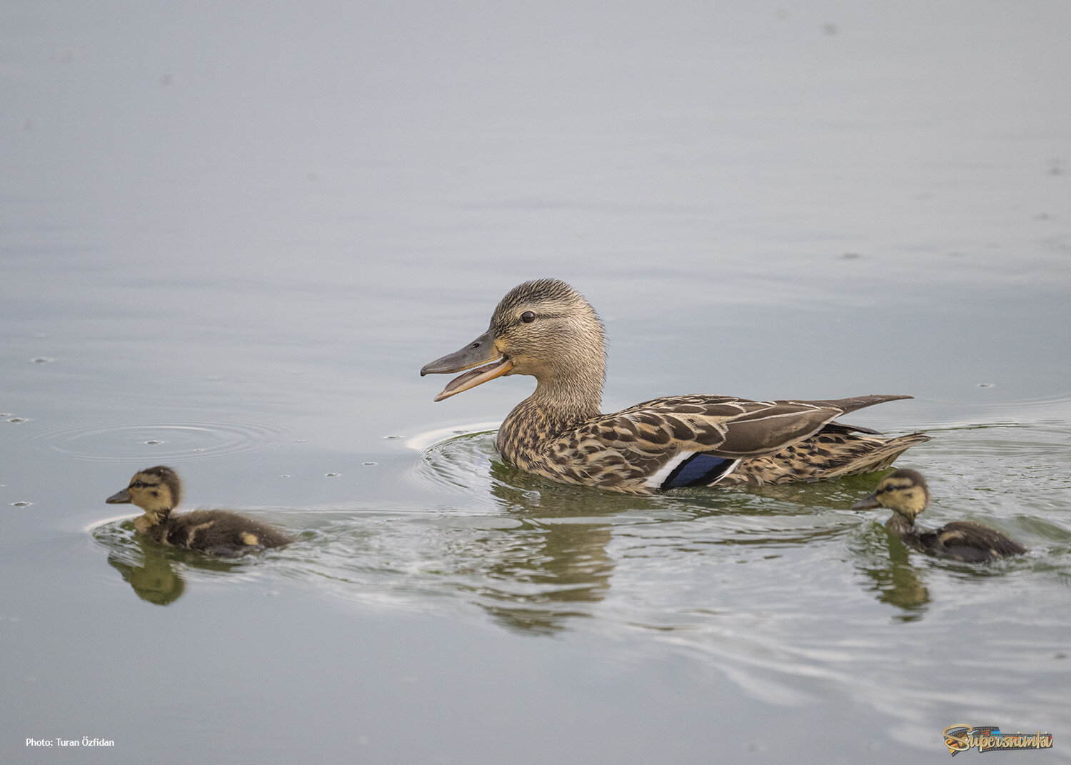 67948c8db1df37cefc132164