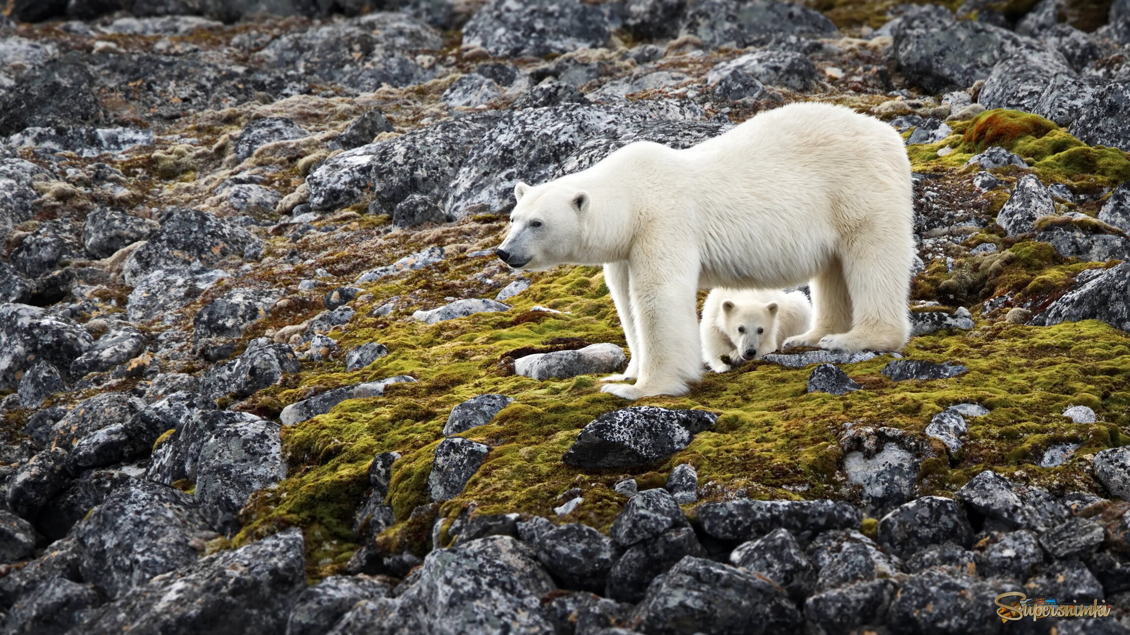 Страшно, но любопытно… Или наоборот!?