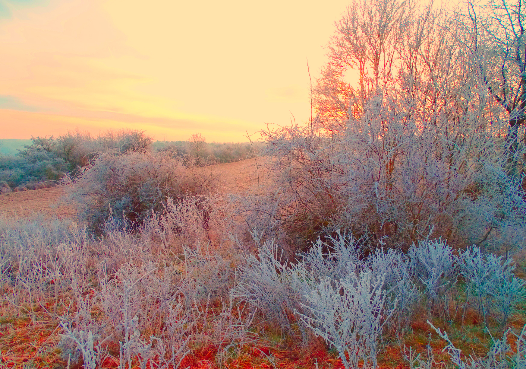 679748aed0afe301e313215c