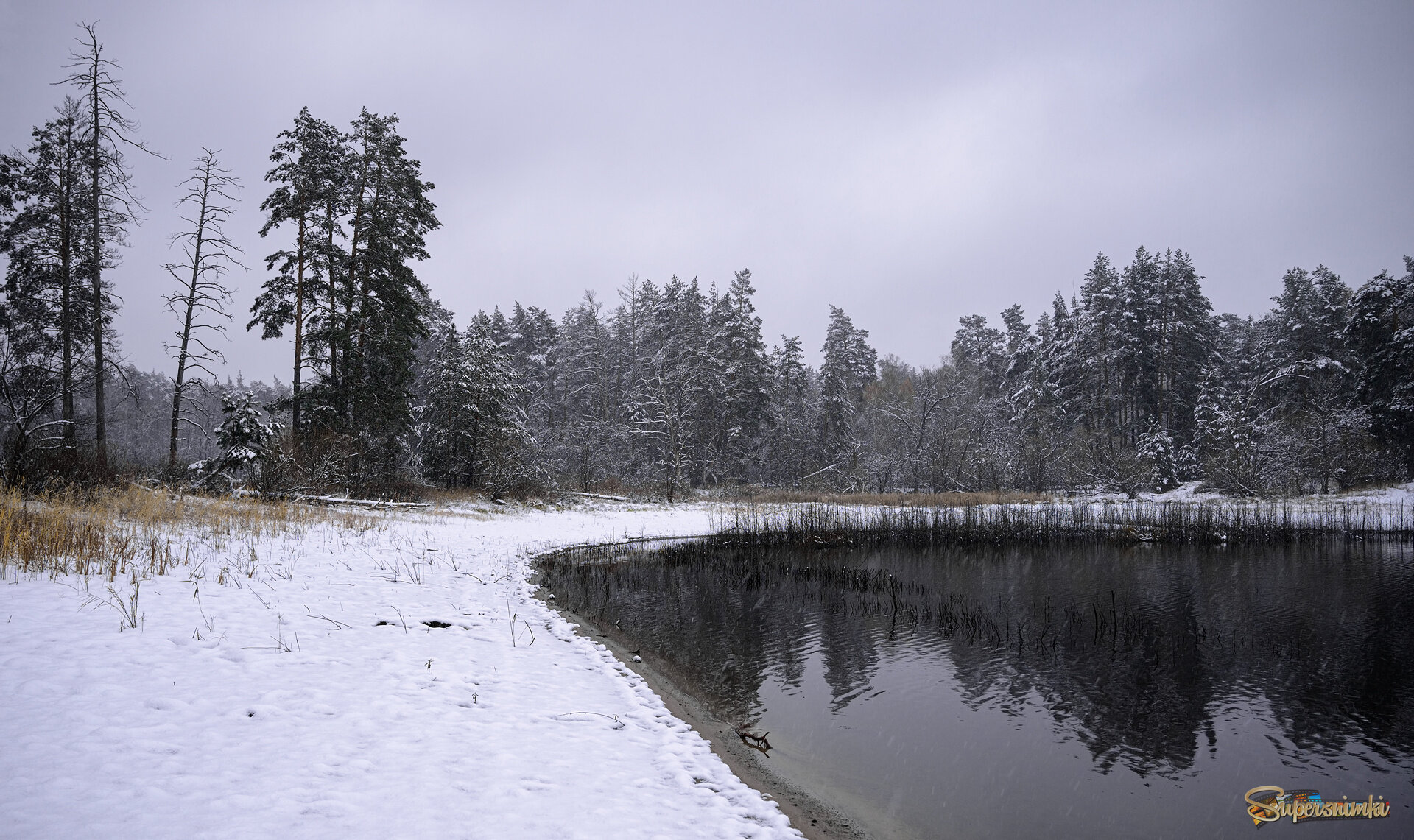 Выпал первый снег